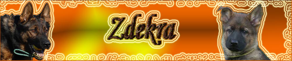 Zdekra