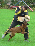 Targa des Loups de Genain