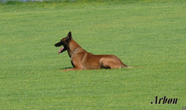img00004.jpg