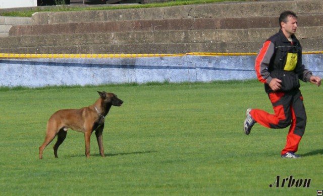 img00005.jpg