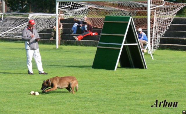 img00007.jpg