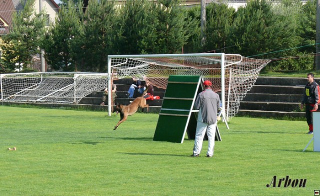img00008.jpg