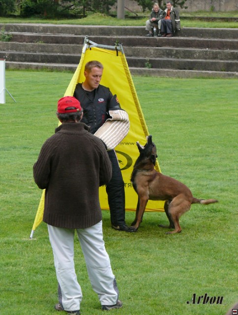 img00009.jpg