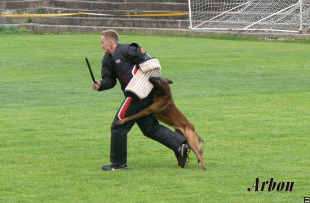 img00012.jpg