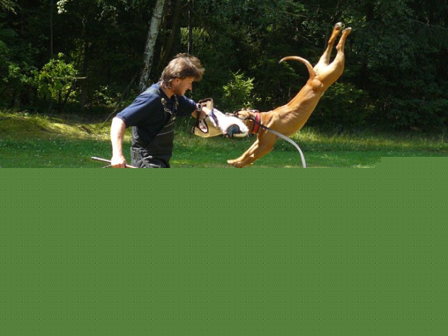 img00033.jpg