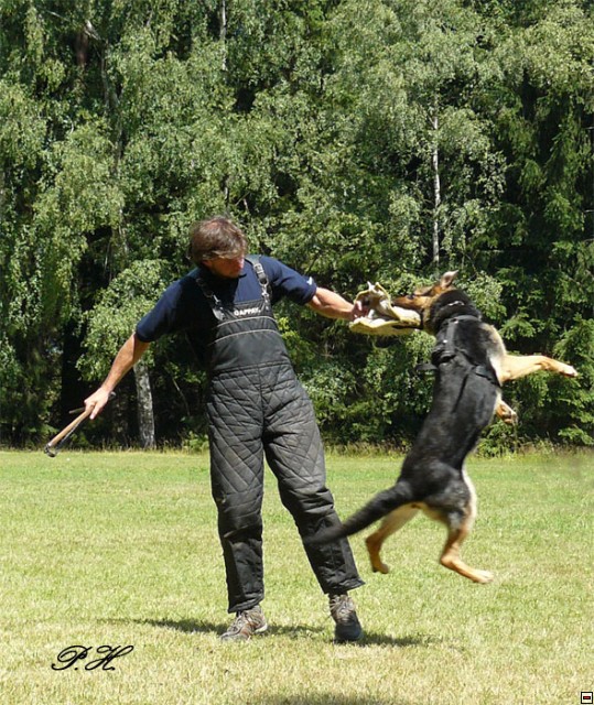 img00037.jpg