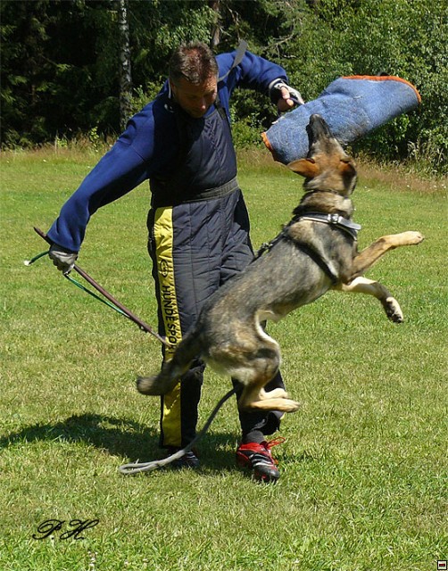 img00038.jpg