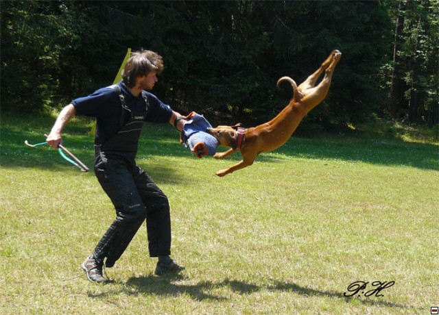img00039.jpg