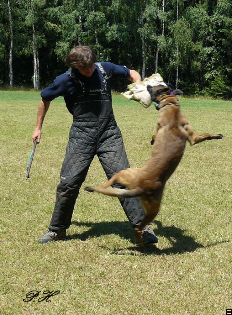 img00040.jpg