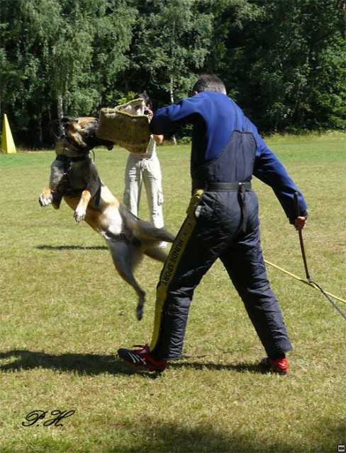 img00031.jpg