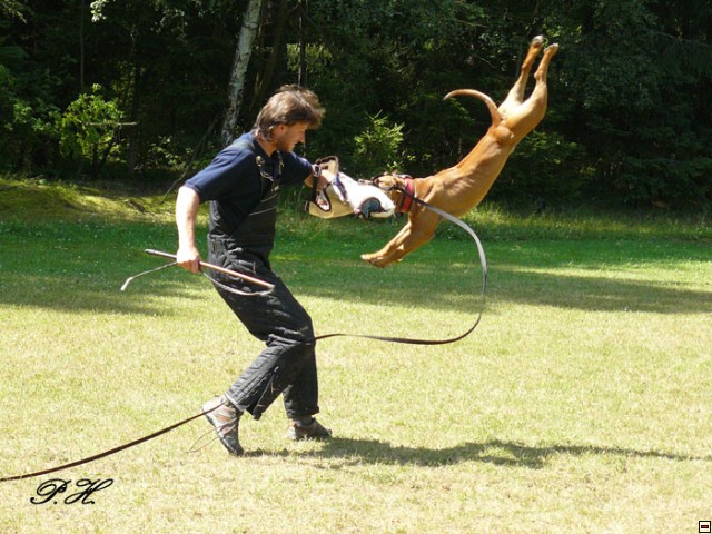img00033.jpg